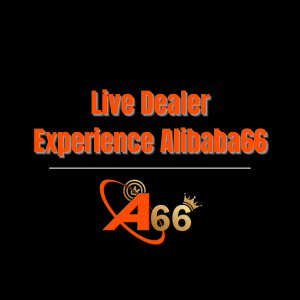 Live Dealer Experience Alibaba66 - Logo - alibaba66s